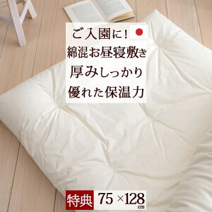 SiP5ő10OFFN[|[216~8H] [v[gt] Qzc ~zc ~zc Q}bg Q}bg  􂦂 { ۈ牀 n100 100 ӂ {[ ȍ