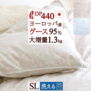 SiP5ő10OFFN[|[3016`8H] 􂦂 Hѕzc O[X VO y|zcJo[TtzDP440 [bpYO[X_E95% 呝1.3kg HтӂƂ }X { R 