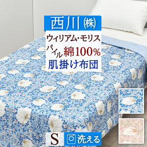 SiP5ő10OFFN[|[2416`8H] |zc LgPbg VO ^In 100% ėp 􂦂 EBAX XM[ sp[l ECAX tďHp V