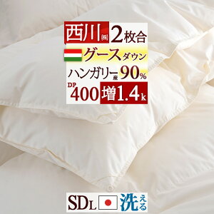 Hő10OFFN[| Hѕzc 2킹  Z~_u O[X 1.4kg nK[YO[X_E90 DP400 yʐn 􂦂 RCh[Ή { I[V[Y 2