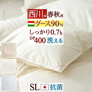 ~ ő10OFFN[|  VO O[X Hѕzc Hэ| | HтӂƂ VOTCY Hэ|zc DP400 0.7kg nK[YO[X_E90% { Hэ|