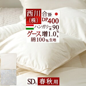 ڋʁ15OFFN[| Hэ|zc Z~_u O[X Hѕzc | Z~_uTCY HтӂƂ Hэ|ӂƂ DP400 1.0kg nK[YO[X_E90% 100%n { 