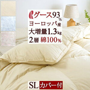 ~ ő10OFFN[| O[X Hѕzc VO y|zcJo[tz呝1.3kg [bpYO[X_E93 DP400 2w HтӂƂ w 100n { }X 