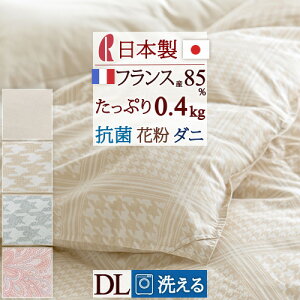 SiP5ő10OFFN[|[2816`8H] Hѕzc _u ėp _EPbg _uTCY }X { |zc HтӂƂ 􂦂 tXY_E85 0.4kg ԕt[ R