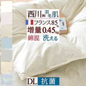 秋得★最大10%OFFクーポン ダウンケット 西川 ダブル 羽毛肌掛け布団 夏 洗える 増量0.45kg ダブルサイズ 羽毛ふとん フランス産ホワイトダウン85% 肌掛け布団 羽毛布団 夏用 抗菌 羽毛肌布団