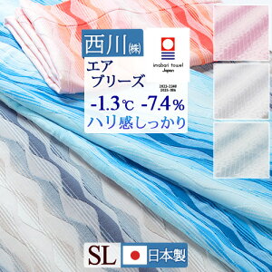 10/18聚11OFFN[|P5  ^IPbg  { VO 100 ėp Nishikawa GAu[YPbg(R) ~h D ^IPbg pC EHbVu VOTCY 