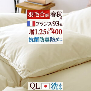 12/1聚11OFFN[| Hэ|zc NC[y|zcJo[Ttz 1.25kg NC[TCY tXYzCg_E93% HтӂƂ |ӂƂ DP400 }X {