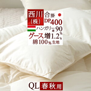 11/1聚11OFFN[| Hэ|zc NC[ NC[TCY O[X Hѕzc | DP400w1.2kgxnK[YO[X_E90% HтӂƂ Hэ|ӂƂ 100%n { 