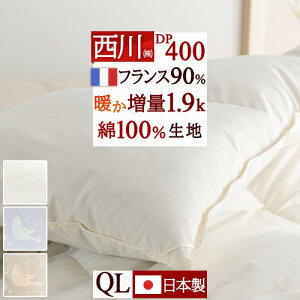 11/1聚11OFFN[| Hѕzc  NC[ NC[TCY 100n DP400 tXYzCg_E90% 1.9kg HтӂƂ { NB[TCY |zc |zc ӂƂ ԂƂ