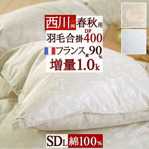 ~ ő10OFFN[| Hэ|zc Z~_u Hѕzc | DP400 1.0kg Z~_uTCY HтӂƂ Hэ|ӂƂ tXYzCg_E90% 100%n {