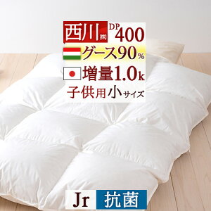 SiP5ő10OFFN[|[2916`8H] y|zcJo[Ttz Hѕzc  WjA TCY qǂ qp nK[YO[X HтӂƂ _E90% w1.0kgxDP4