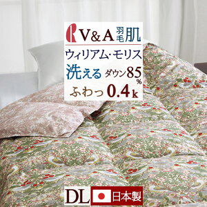 11/1聚11OFFN[|P10 Hє|zc _u _EPbg yV&AzEBAX D_ _uTCY _E85 0.4kg HтӂƂ Hє|zc Hѕzc ėp  