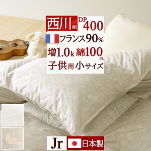 ~ ő10OFFN[| y|zcJo[Ttz  Hѕzc WjA 1.0kg DP400 HтӂƂ ItXY zCg_E90% 100n qǂ qp { H 