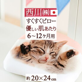 全品P5＆20%OFFクーポン★マラソン[10日0時～24H] 西川 ベビー枕 20×24cm すくすくピロー 日本製 赤ちゃんの眠りを快適に ベビーピロー 西川リビング 洗える ベビー用まくら リラックマ くまのがっこう スヌーピー（6ヶ月～12ヶ月） ベビー
