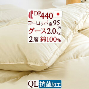 }\ő10OFFN[| Hѕzc O[X NB[ DP440 [bpYO[X_E95% NC[TCY  2.0kg HтӂƂ 2w w 100% }X { R ԕ_
