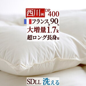 11/1聚11OFFN[| Hѕzc Z~_u O gp  y|zcJo[TtztXYzCg_E90% 呝1.7kg y|zcJo[TtzRCh[Ή DP400 