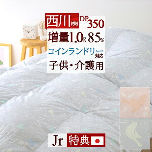 11/1聚11OFFN[|  Hѕzc WjA y|zcJo[Ttz qǂ qp TCY R HтӂƂ _E85%  1.0kg DP350 350dp 􂦂 RCh[ ʂ