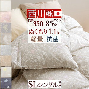 11/1聚11OFFN[| Hѕzc VO |zc  R 쌵I_E85% 1.1kg HтӂƂ DP350 ʂʂdグ yʐn { oCIAbv Q Hъ|zc VO