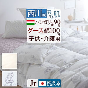 SiP5ő10OFFN[|[2616`18H] Hє|zc _EPbg WjATCY   􂦂 100 HтӂƂ nK[YO[X_E90 0.25kg |zc Hѕzc ėp 