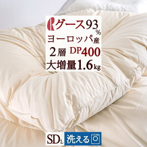 ~ ő10OFFN[| y|zcJo[Ttz 􂦂 Hѕzc O[X Z~_u 呝1.6kg DP400 HтӂƂ [bpYO[X_E93 }X 2w w {