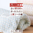 マラソン★最大2万円OFFクーポン 西川 綿毛布 ベビー 70×100cm 綿100％ 綿毛布 保育園 子供 日本製 オールコットン キッズ 東京西川 シール織り ベビー ひざ掛けふんわり おしゃれ コットン ブランケット