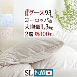 SiP5ő10OFFN[|[1616`8h] O[X Hѕzc VO 呝1.3kg [bpYO[X_E93 DP400 2w HтӂƂ w 100n { }X VOO