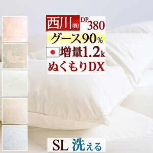 ~ ő10OFFN[| Hѕzc O[X VO 쌵IzCgO[X_E90 HтӂƂ 1.2kg RCh[Ή { R |zc |zc HтӂƂ