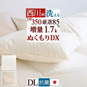 11/1聚11OFFN[| Hѕzc _u |zc 쌵I_E85% _uTCY 1.7kg HтӂƂ RCh[Ή DP350 ʂʂdグ yʐn { R Q H