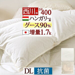 ڋʁ15OFFN[| Hѕzc _u O[X  nK[YO[X_E90 DP400 HтӂƂ g1.7kg { R ʂdグ |zc ӂƂ ԂƂ _uTCY