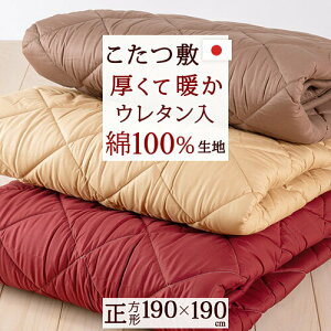 SiP5ő10OFFN[|[150`24H] ~zc ` { 100 Wybg zc E^tH[gp R^c~zc 190×190cm n R^czc