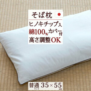 9/1聚11OFFN[| Wybg Ζ { ΂疍 35×55cm  yqmL`bv  s[ ܂ 100  Ίk