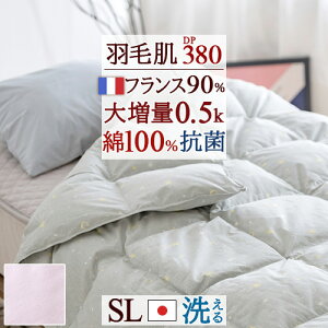 SiP5ő10OFFN[|[2616`18H] Hє|zc VO _EPbg ėp 􂦂 0.5kg tXY_E90% HтӂƂ { Hѕzc |zc Hєzc  