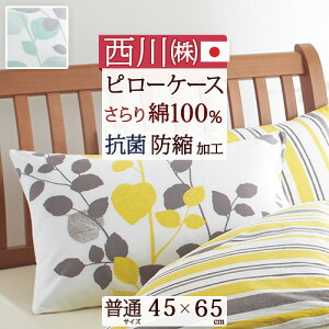 SSʁ10N[| Jo[ 100 43×63cm {  s[P[X R hk H mee sP[X ܂Jo[ 