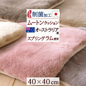 }X [gV[gNbV {  [g I[XgAYmE[ ё25~ R h_j NbV 40×40cm { z 