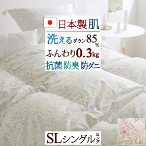 ~ő10OFFN[| _EPbg Hє|zc VO 􂦂 { zCg_E85 0.3kg HтӂƂ RۖhL H ėp Hѕzc   ӂƂ Hєzc _j