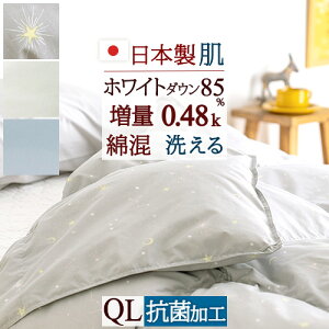 11/1聚11OFFN[| _EPbg Hє|zc NC[ NC[TCY 􂦂 { zCg_E85% 0.48kg HтӂƂ RۖhL ėp Hѕzc   ӂƂ Hєz