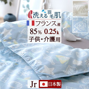 ジュニア 掛け布団 羽毛布団の人気商品・通販・価格比較 - 価格.com
