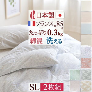 秋得★最大10%OFFクーポン 2枚まとめ買い 羽毛肌掛け布団 羽毛布団 シングル 夏用 ダウンケット シングルサイズ ロマンス小杉 羽毛ふとん 日本製 肌掛け布団 洗える フランス産ダウン85% 0.3