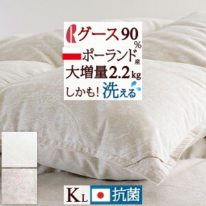 ڋʁ15OFFN[| y|zcJo[Ttz呝2.2kg LOTCY LO Hѕzc O[X |[hYzCgO[X_E90 DP370 { HтӂƂ }X |z