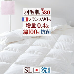 SiP5ő10OFFN[|[2616`18H] Hє|zc VO _EPbg ėp 􂦂 0.4kg tXY_E90% HтӂƂ { Hѕzc |zc Hєzc  ӂ