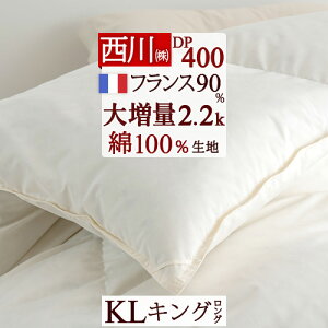 ~ő10OFFN[| Hѕzc LOTCY LO  tXYzCg_E90% wg呝2.2kgx DP400 { HтӂƂ 100n ~p g  Hъ|zc |zc H