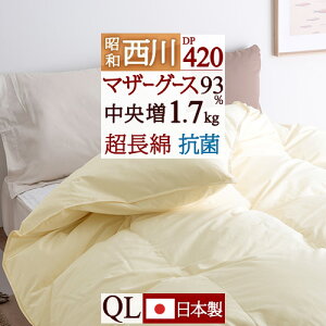 10/18聚11OFFN[| }U[O[X Hѕzc NB[ NC[TCY  100%nzCg}U[O[X_E93% O[X 1.7kg HтӂƂ DP420 R ԕ _j΍ Hъ|zc H