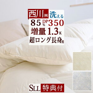 SiP5ő10OFFN[|[816~10H] Hѕzc VO gp  I_E85%y|zcJo[Ttz 1.3kg DP350 VOTCY gp HтӂƂ RCh[Ή V