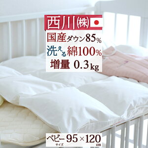 ~ő10OFFN[| xr[zc Hѕzc  { 100 􂦂 Y_E HтӂƂ Ԃ Y 􂦂xr[Hѕzc[k[hExr[p] 95×120cm xr[ӂƂ