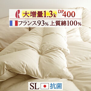 SiP5ő10OFFN[|[2216`8H] Hѕzc VO 呝1.3kg tXYzCg_E93% DP400y|zcJo[Ttz ㎿100n R hL { ~p g 