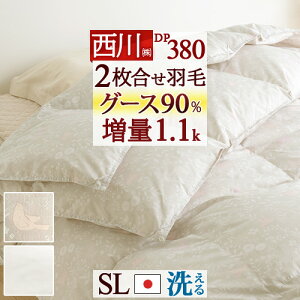 SSʁ10+SiP5[100`26H] Hѕzc VO  2킹 1.1kg 쌵IzCgO[X_E90 HтӂƂ yʐn RCh[ 􂦂 { 1Ng |z