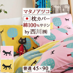 Hő10OFFN[| Jo[ 43×63cm p { 100  }^mAcR  s[P[X ܂Jo[ Te n LƖ sP[X