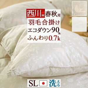 SiP5ő10OFFN[|[1516`8h]  VO Hѕzc tHp Hэ|ӂƂ VOTCY I_E90% 0.7kg yʐn { 􂦂 RCh[Ή HтӂƂ 