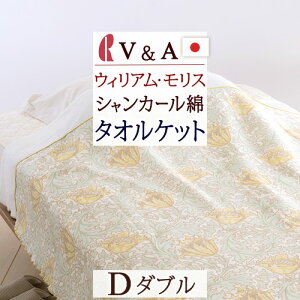 12/1聚11OFFN[| ^IPbg _u {  ėp 100 Anemone All VA EBAX VJ[ }X 􂦂 z  {  ėp ^IP