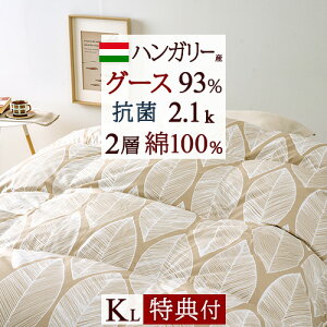 ڋʁ15OFFN[| Hѕzc LOTCY LO O[X y|zcJo[Ttzgarb casa K[uJ[T [uX HтӂƂ nK[YO[X_E93% 2.1kg DP400 w 2wLg 